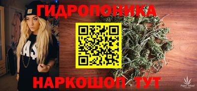 стаф Заводоуковск