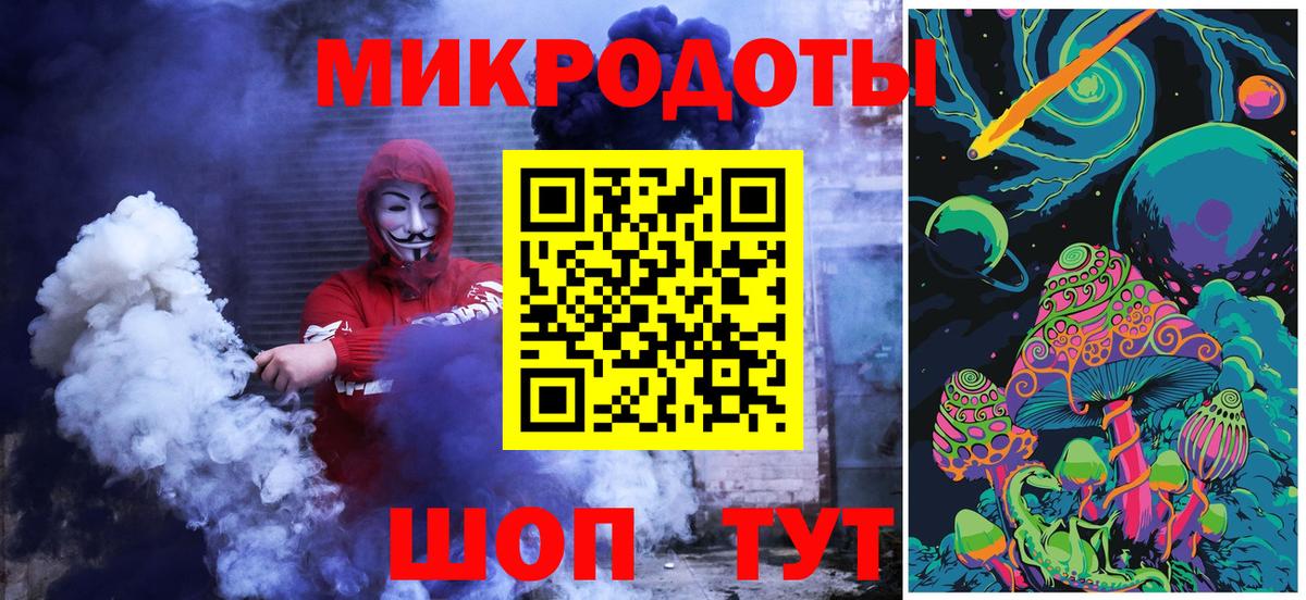 Псилоцибиновые грибы Psilocybe Магадан