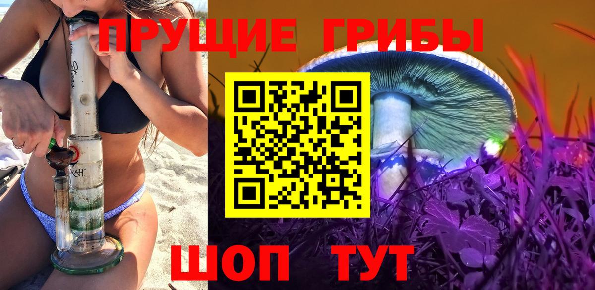 Псилоцибиновые грибы GOLDEN TEACHER  Вход с VPN  Магадан 